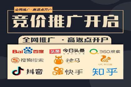 某某SEM服务公司成功案例：从数据出发的营销策略
